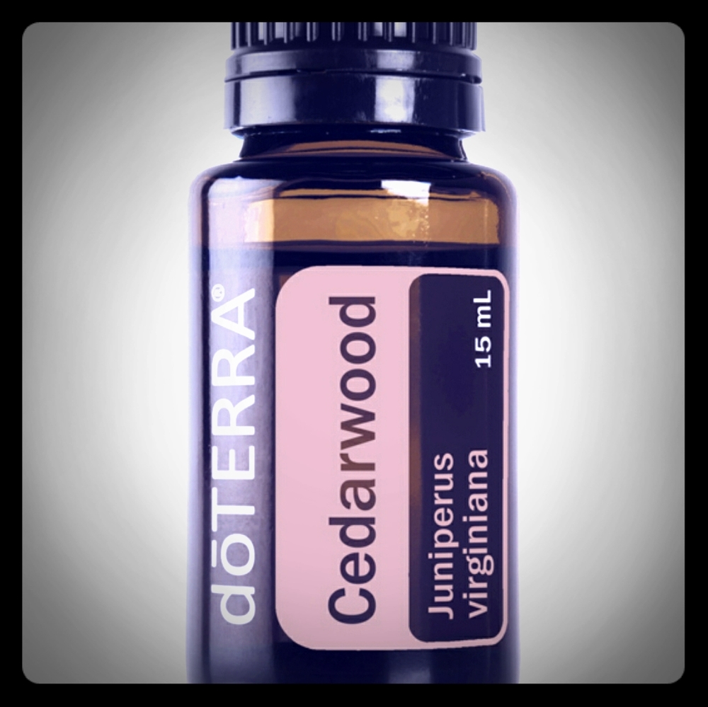 Doterra Cedarwood 15ml